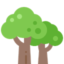 6 Months+ Best Value!